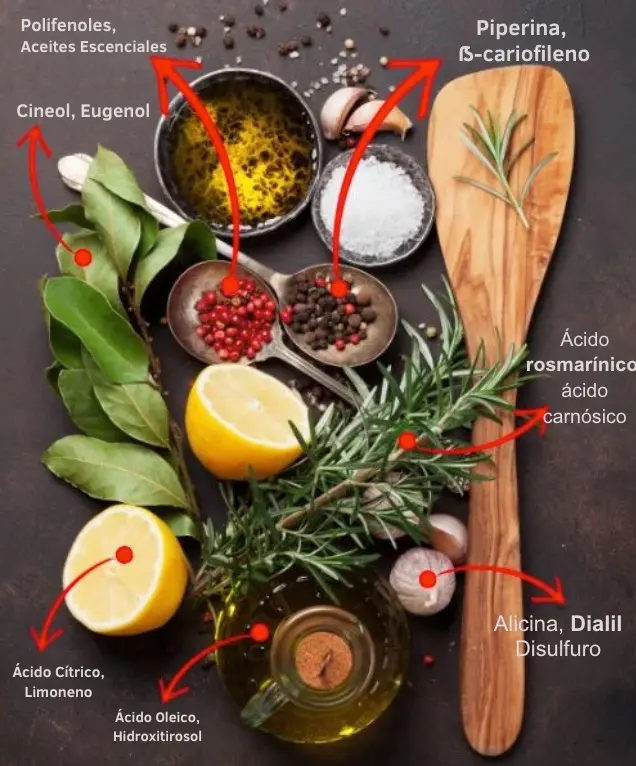 Ingredientes herbales con propiedades señaladas