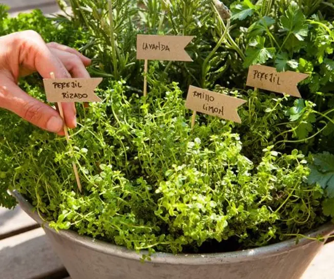 Manual digital abierto con indicaciones